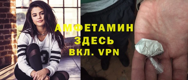 хмурый Чита