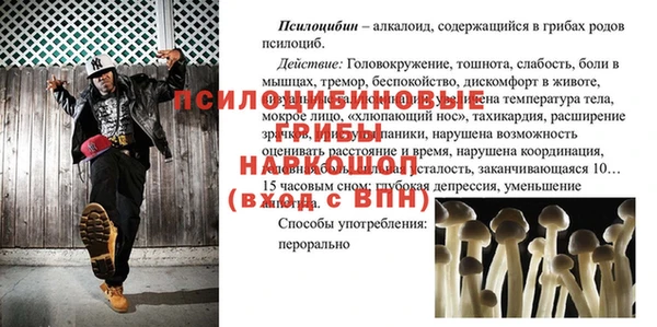 ПСИЛОЦИБИНОВЫЕ ГРИБЫ Архангельск