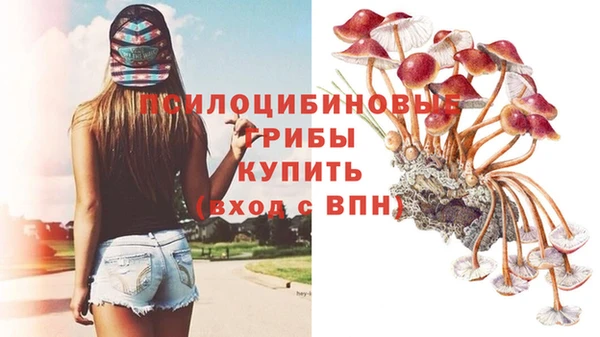 шишки Кулебаки