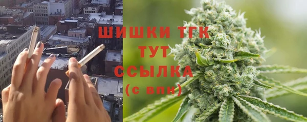 дмт Костерёво