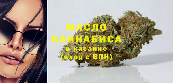 дмт Костерёво